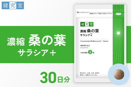 濃縮桑の葉 サラシア+|サプリ サプリメント 栄養 北海道 札幌市