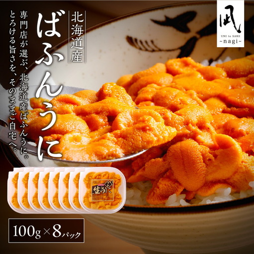 【先行受付】《北海道産》バフンウニ 塩水 100g×8パック＜札幌カネシン水産＞ | ウニ丼 無添加 北海道 札幌市