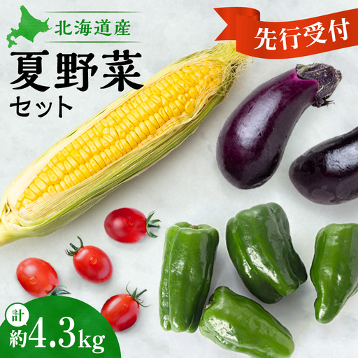 [先行受付]夏野菜セット | トウモロコシ ミニトマト ピーマン ナス 北海道 札幌市