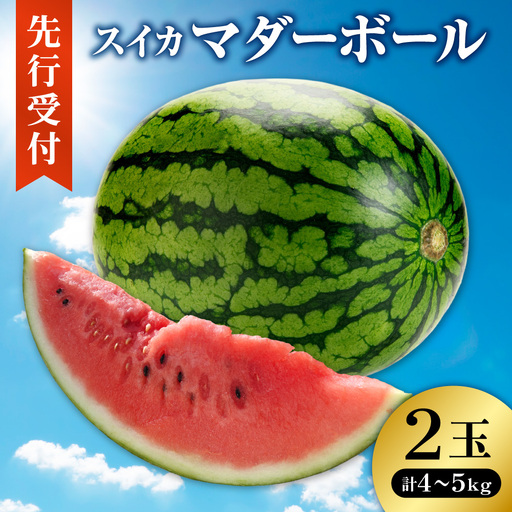 [先行受付]スイカ | 野菜 すいか 小玉 北海道 札幌市