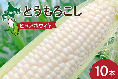 [先行予約]朝どれ産直!白とうもろこし「ピュアホワイト」 5Kg[7月中旬以降出荷]