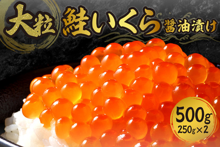 濃厚・大粒!鮭いくら醤油漬け500g(250g×2)