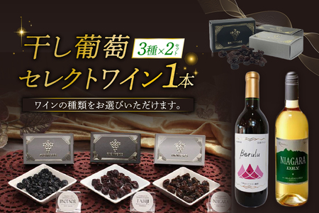 C北海道完全無添加干し葡萄と札幌産セレクトワイン1本のマリアージュセット