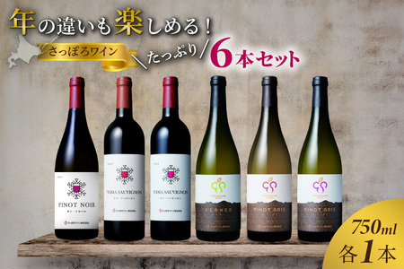 さっぽろワイン 年の違いも楽しめるたっぷり6本セット(750ml×6本)