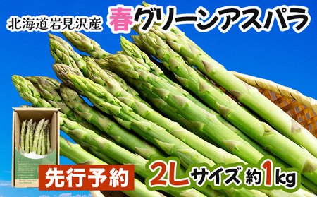 [先行予約/令和8年産]北海道岩見沢産 春グリーンアスパラ 2Lサイズ 1kg[41103]a129-003