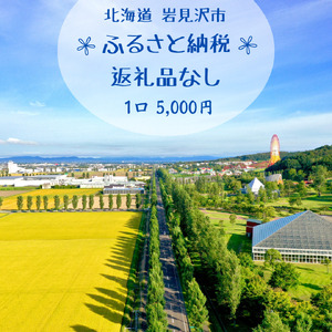 [返礼品なし]岩見沢市 寄附のみ応援 5,000円[応援寄附]