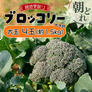 [引換券(現地受取)]市場の目利き 北海道岩見沢産ブロッコリー 大玉4玉