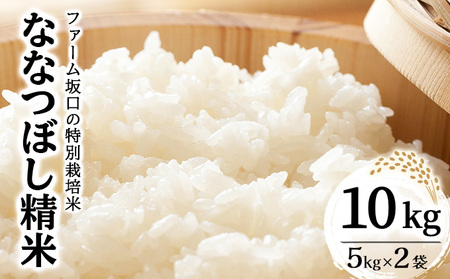 ߘa7NYIt@[̓ʍ͔| ȂȂڂ 10kg (5kg×2)