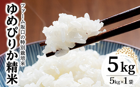 令和7年産!ファーム坂口の特別栽培米 ゆめぴりか精米 5kg