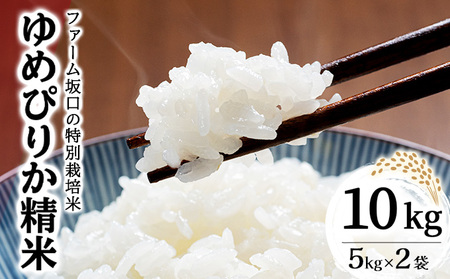 ߘa7NYIt@[̓ʍ͔| ߂҂肩 10kg (5kg×2)