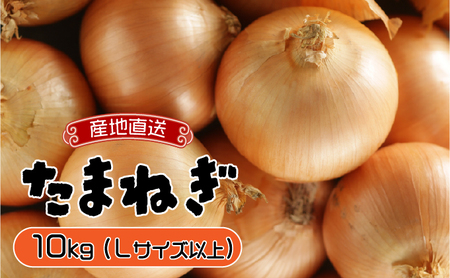 [通常配送]市場の目利き 北海道岩見沢産たまねぎ 10kg