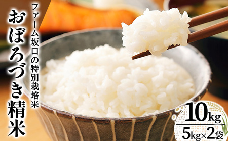 ߘa7NY!t@[̓ʍ͔| ڂÂ 10kg(5kg×2)