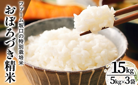 ߘa7NY!t@[̓ʍ͔| ڂÂ 15kg(5kg×3)
