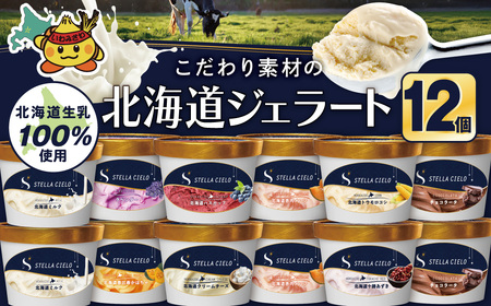 STELLA CIELO kCWF[g12 | kC~N `R[^ kCN[`[Y kC\ kCbڂ kCԓ kCnXJbv x_[ kCgE