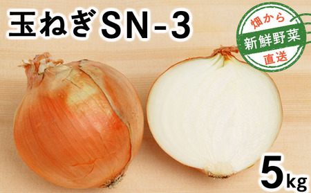 [先行予約]畑から 直送 の 新鮮野菜!玉ねぎ(SN-3) 5kg [a168-001]たまねぎ 玉葱 タマネギ国産 産地直送 まとめ買い 業務用 贈り物 甘い 野菜 シャキシャキ 美味しい 北海道 送料無料