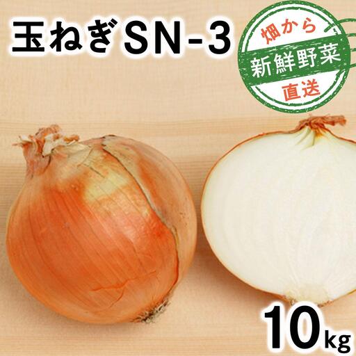 【先行予約】畑から直送の新鮮野菜！玉ねぎ(SN-3) 10kg [a168-002] 