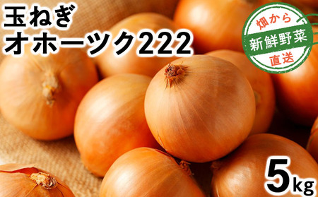 [先行予約]畑から 直送 の 新鮮野菜!玉ねぎ(オホーツク222) 5kg [a168-004] たまねぎ 玉葱 タマネギ国産 産地直送 まとめ買い 業務用 贈り物 甘い 野菜 シャキシャキ 美味しい 北海道 送料無料