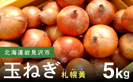 [先行予約]幻の玉ねぎ!札幌黄(さっぽろき)5kg [a168-010] たまねぎ 玉葱 タマネギ 国産 まとめ買い 業務用 贈り物 野菜 美味しい 送料無料 新鮮野菜 健康 和食 レストラン 国産 採れたて 農家直送 産地直送 北海道 岩見沢市
