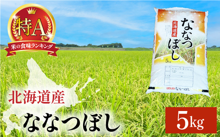 令和7年産 岩見沢産 ななつぼし 5kg 精米【a161-002】