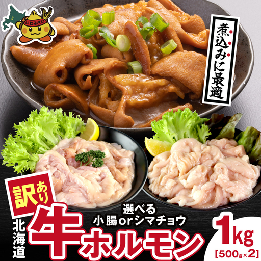 牛ホルモン (味付け無し／シマチョウ) 1kg (500g×2パック)【a163-045】