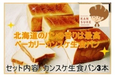 そのままでしっとりモチモチおいしい生食パン!北海道産小麦の生食パン3本セット[19115]