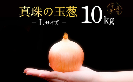 真珠の玉葱 Ｌサイズ10kg ≪海のミネラルで育てた玉葱≫【50104】