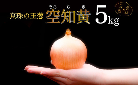 ^̋ʔK m 5kg C̃~lňĂ̋ʔKmy50105z