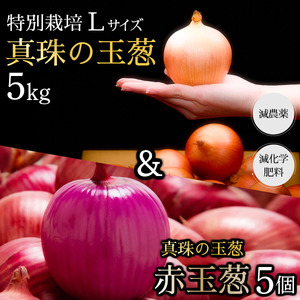 ^̋ʔK ʍ͔|LTCY5kg(ԋʔK5)C̃~lňĂʍ͔|ʔKy50108z