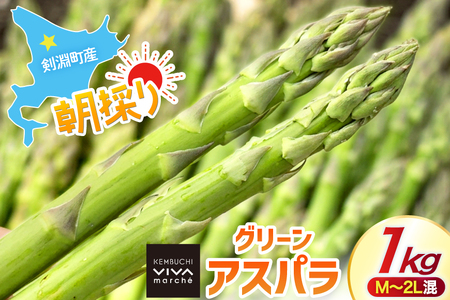 剣淵町産 グリーンアスパラ 1kg(M〜2L混) [けんぶちVIVAマルシェ 北海道 剣淵町 14656381 ]