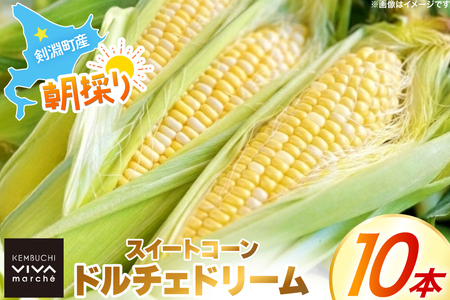 剣淵町産 ドルチェドリーム スイートコーン 10本 [けんぶちVIVAマルシェ 北海道 剣淵町 14656378]