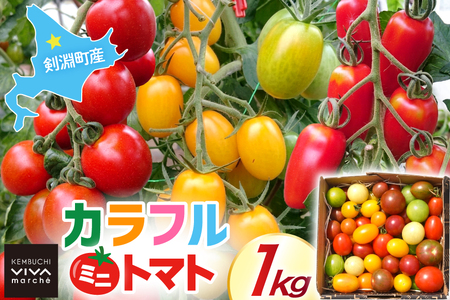 剣淵町産 カラフルミニトマト 1kg [けんぶちVIVAマルシェ 北海道 剣淵町 14656380]