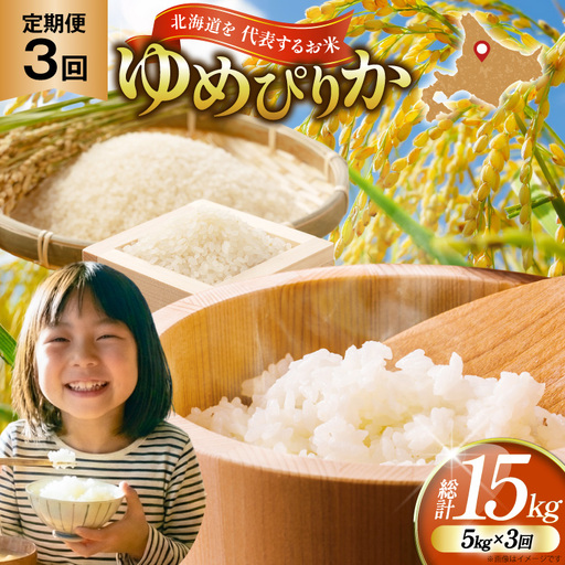 米 優秀金賞 ゆめぴりか 5kg 3回 定期便 総計15kg [笹田ファーム 北海道 剣淵町 14656373]