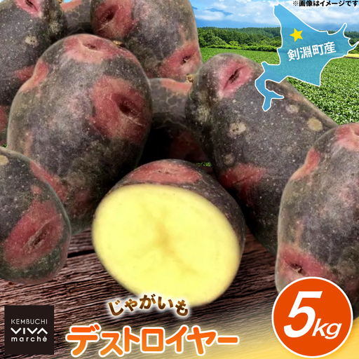 じゃがいも デストロイヤー 5kg [けんぶちVIVAマルシェ 北海道 剣淵町 14656393]