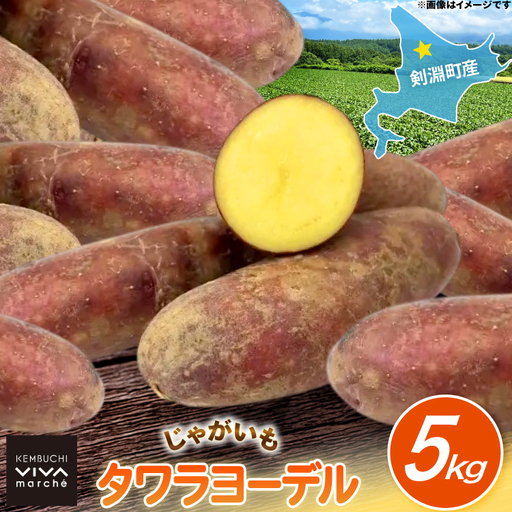 じゃがいも タワラヨーデル 5kg [けんぶちVIVAマルシェ 北海道 剣淵町 14656390]