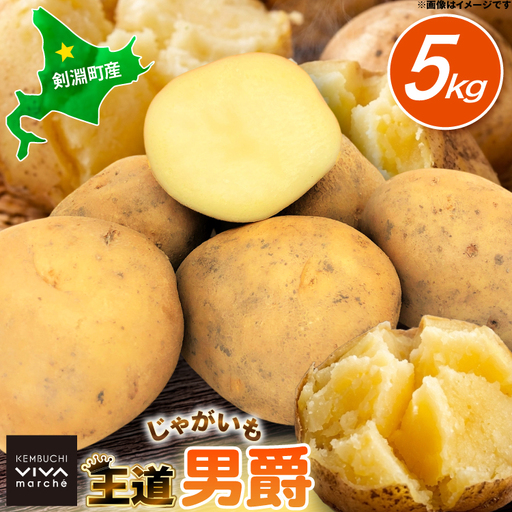 じゃがいも 男爵 5kg [けんぶちVIVAマルシェ 北海道 剣淵町 14656389]