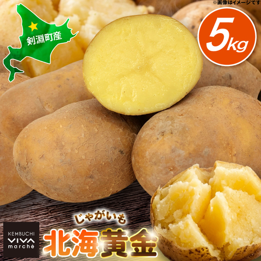 じゃがいも 北海黄金 5kg [けんぶちVIVAマルシェ 北海道 剣淵町 14656385]
