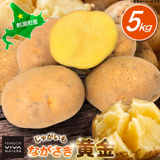 じゃがいも ながさき黄金 5kg [けんぶちVIVAマルシェ 北海道 剣淵町 14656386]