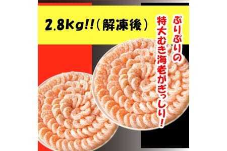 ���僀�L�G�r 2.8kg_�yG0648�z