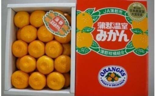 【期間限定】蒲郡温室みかん 2.5kg（秀品）_【G0001】