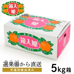[期間限定]蒲郡みかん「箱入娘」約5kg_[G0002]