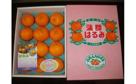 �y���Ԍ���z���S�݂���u�n�E�X�͂�݁v��3kg_�yG0331�z