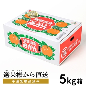 【期間限定】蒲郡温室みかん ５kg（秀品）_【G0356】