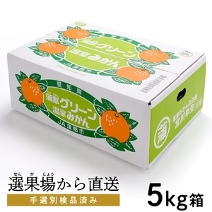 [数量限定]蒲郡グリーン 温室みかん 5kg_[G0487]