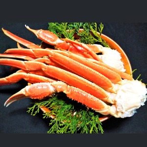 �{�C���Y���C�K�j�@�QL�i���ϔ�����j_�yG0697�z