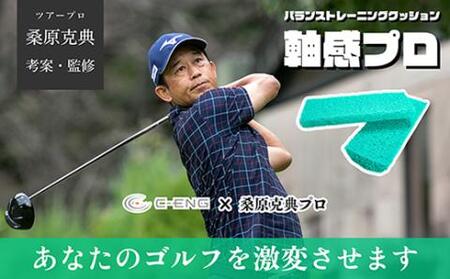 バランストレーニングクッション 軸感プロ_[G0409]