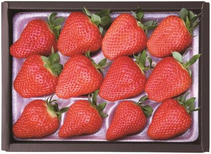 �y���Ԍ���z�T���x���[���S�������u��߂̂��v�i12���j_�yG0703�z