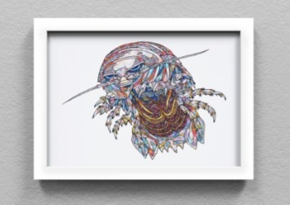 竹島水族館 NAMIKO 生物絵画の複製画_[G0729]