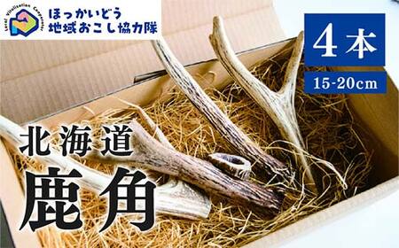 北海道湧別町産 鹿角(15〜20cm) 4本 地域おこし協力隊関連返礼品 F6S-224