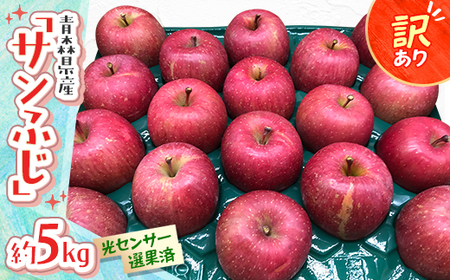 XYuTӂvƒp@󂠂 ZT[Iʍρ@5kgy1656888z
