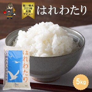青森県産 はれわたり 精米済み 5kg【配送不可地域：離島・沖縄県】【1657760】